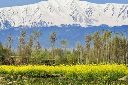 Jammu Kashmir Tour