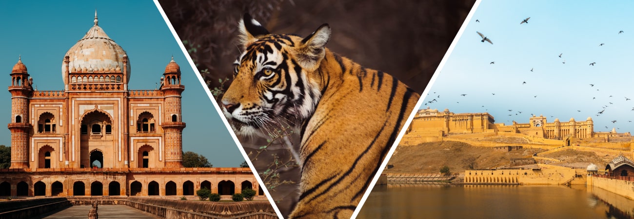 Golden Triangle Tour