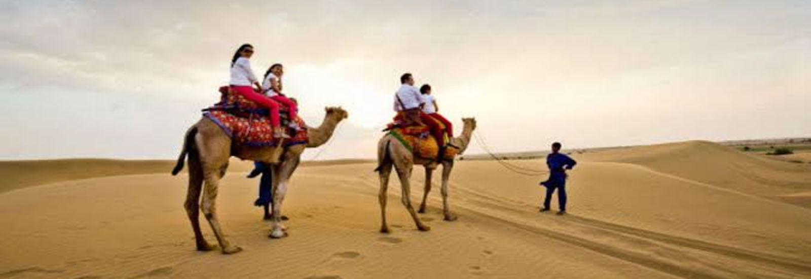 Desert Camel Ride