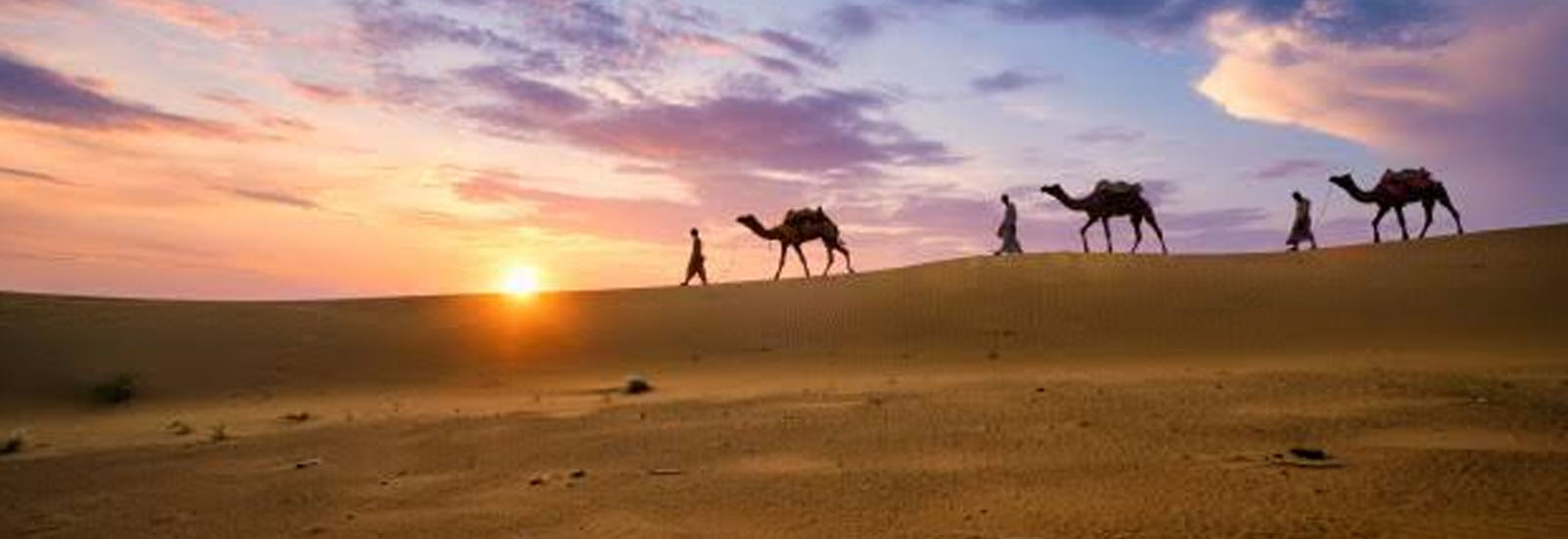 Desert Safari Rajasthan